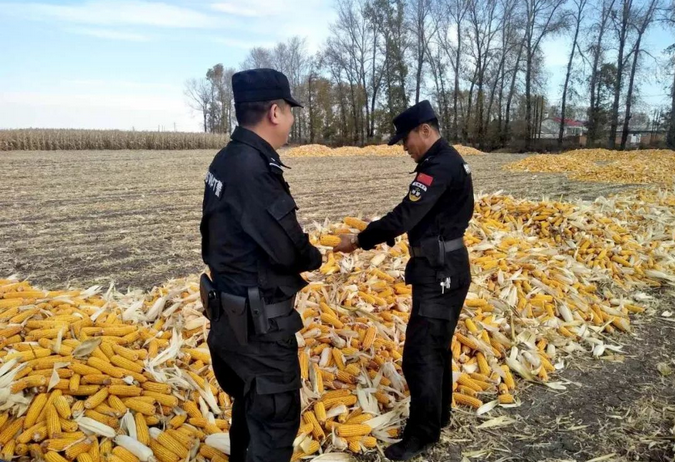 禁燒秸稈走田間、共鑄警魂保藍(lán)天