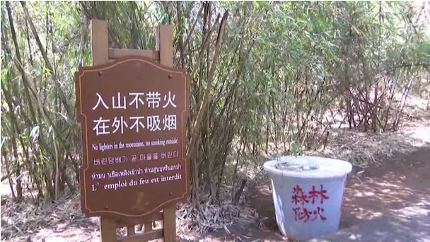 贊！雞足山景區(qū)連續(xù)35年無森林火災(zāi)，因?yàn)樗麄?..