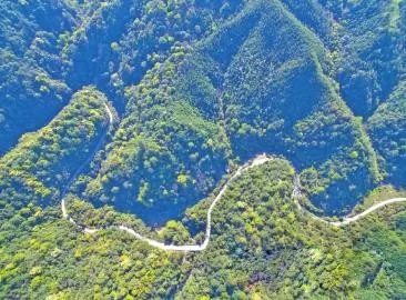 智能化，讓森林防火監(jiān)控管護(hù)更“智慧”